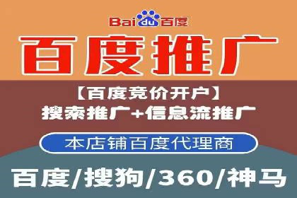 SEM网络推广案例：精准营销助力品牌成长